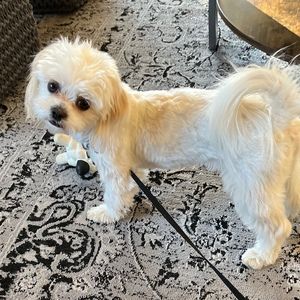 Meet your Posher, Barbara